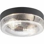 Progress Lighting P550042-031 Weldon Collection Two-light Flush Mount Black. Fixed Price $98.00.