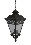 Burnished Bronze And Seeded Glass Exterior Hanging Light $435. Fixed Price $107.99.