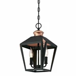Two Light Indoor Pendant Westinghouse Valley Forge Matte Black Finish 6328400. Fixed Price $29.99.