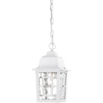 Nuvo Banyan Light 11" Outdoor Hanging W/ Clear Water Glass, White 60-4931. Fixed Price $67.99.