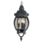 Trans Globe Rochefort 25' Outdoor Hanging Lantern Black - 4066 Bk. Fixed Price $119.99.