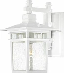 Nuvo Lighting 60/4957 One Outdoor Wall Fixture. Fixed Price $137.99.