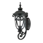Acclaim Lighting 2111 Black Naples 1-LIGHT 22.75"H Outdoor Wall Sconce. Fixed Price $149.99.