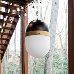 Capsule 12 1/4" Wide Matte Black 3-LIGHT Outdoor Pendant. Fixed Price $318.40.
