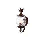 Acclaim 7511BC Lanai Collection 3-LIGHT Wall Mount Outdoor Fixture, Bla.... Fixed Price $306.12.