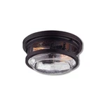 Globe Electric Wolfe Switch Natural Bronze Dimmable Outdoor Light Fixture 44263. Fixed Price $63.95.