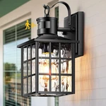 Black Motion Sensor Porch Lights Outdoor, Modern Dusk To Dawn Exterior Lighting. Fixed Price $49.99.