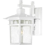 Nuvo Lighting 60/4957 Cove Neck Outdoor Wall White And Clear Seeded. Fixed Price $137.99.