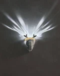High Elk Wall Light. Fixed Price $35.00.