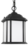 Sea Gull 60529-12 Kent Light 7 Inch Outdoor Pendant, Black. Fixed Price $47.97.