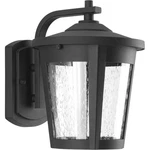 Progress Lighting P6078-LED East Haven 10" Tall Black. Fixed Price $159.99.