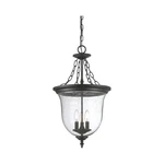 Acclaim Lighting 9316BK Belle Outdoor Pendant Chandeller Matte Black. Fixed Price $232.00.