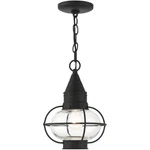 Livex Lighting 26910-04 Newburyport Outdoor Pendant Chandeller Black. Fixed Price $345.96.