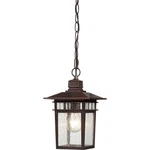 Nuvo Cove Neck Light 12" Outdoor Hang W/ Clear Glass, Rustic Bronze 60-4955. Fixed Price $91.99.