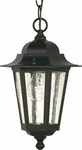 Nuvo 60-993 Outdoor Hanging Lantern Textured Black Finish. Fixed Price $71.69.