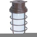 Nuvo Light 11" Industrial Surface Mount, Frosted Glass, Old Bronze SF76-627. Fixed Price $57.99.