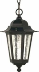 Nuvo Lighting 60/993 One Hanging Lantern. Fixed Price $71.69.