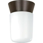 Nuvo Light 8" Utility Ceiling Mount W/ White Glass, Bronzotic SF77-156. Fixed Price $34.99.