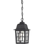 Nuvo Banyan Light 11" Outdoor Hanging, Clear Glass, Text. Black 60-4933. Fixed Price $67.99.