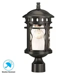 Alestino 1-LIGHT Black Outdoor Lamp Post Lantern Mount With Water Glass. Fixed Price $79.98.