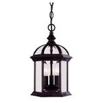 Savoy House Kensington Hanging Lantern Textured Black 5-0635-BK. Fixed Price $169.60.