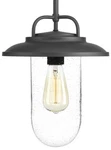 Progress Lighting P550019 Black Beaufort 10"W Pendant. Fixed Price $76.49.