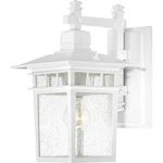 Nuvo Cove Neck Light 14" Outdoor Lantern W/ Clear Seed Glass, White 60-4957. Fixed Price $137.99.