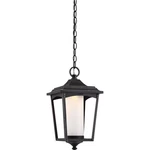 Nuvo Lighting Essex 1 Outdoor Hang Lant Sterling Black 62-824. Fixed Price $159.98.