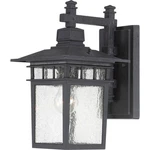 Nuvo Cove Neck Light 14" Outdoor Lantern, Clear Glass, Text. Black 60-4959. Fixed Price $110.39.