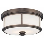 Minka-lavery 20" Harvard Court Bronze Light Fixture Model #6369-281. Fixed Price $199.00.