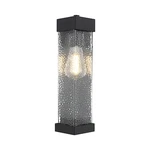 Elegant Lighting Swain Outdoor Pendant, Black/clear - OD370W14BK. Fixed Price $96.00.
