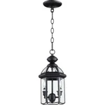Quorum Lighting 735-2-15 Wesley Hanging Lantern New Fast Ship C. Fixed Price $31.88.