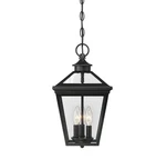 Savoy House 5-146 Black Ellijay 3-LIGHT 9"W Single Pendant Outdoor. Fixed Price $368.00.