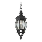 Forte Lighting Cast Aluminum Outdoor Pendant Black 1702-01-04. Fixed Price $68.82.
