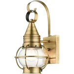 Livex Lighting 26900-01 Newburyport Outdoor Wall Antique Brass. Fixed Price $247.96.