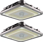 100W Led Canopy Celling Lights, Large Coverage 15000LM Outdoor. Fixed Price $166.99.