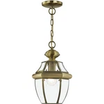 Livex Lighting 2152-01 Monterey Outdoor Pendant Chandeller Antique Brass. Fixed Price $185.96.