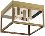 Livex Nyack 10 1/2" Wide Antique Brass Modern Outdoor Ceiling Light. Fixed Price $281.96.