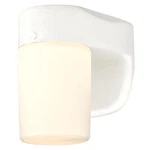 Westinghouse 61068 Dimmable Led Outdoor Wall Light White Finish Frosted Glass. Fixed Price $32.29.