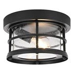 Elegant Lighting Carla 10" Outdoor Flush Mount Black. Fixed Price $146.00.