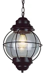 Trans Globe Lighting 69906 Bk Outdoor Catalina 19" Hanging Lantern, Black. Fixed Price $135.33.
