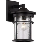 Trans Globe Lighting 40380-BK Avalon 11 Inch Black Outdoor Wall Lantern. Fixed Price $91.20.