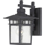 Nuvo Cove Neck Light 12" Outdoor Lantern, Clear Glass, Text. Black 60-4953. Fixed Price $89.99.