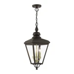 Livex Adams Lt Outdoor Large Pendant Lantern, Bronze/brass/cluster 27377-07. Fixed Price $939.96.