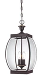 Quoizel Oasis 20 1/2" High Hanging Outdoor Light. Fixed Price $359.99.