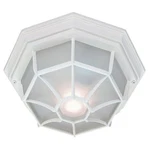Acclaim Lighting 2002 White 2-LIGHT 11"W Outdoor Flushmount Ceiling Fixture. Fixed Price $57.60.