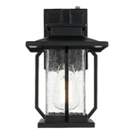 Elegant Lighting Salem 7" Outdoor Pendant Black. Fixed Price $120.00.