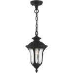Livex Lighting 7849-14 Oxford Outdoor Pendant Chandeller Textured Black. Fixed Price $119.96.