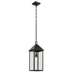 Kichler Prin Light 22" Outdoor Pendant, Olde Bronze/clear Glass - 59160OZ. Fixed Price $269.97.