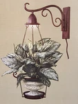 Illuminated Sconce Plant Holder By Style Selections Bronze Finish. Fixed Price $44.20.